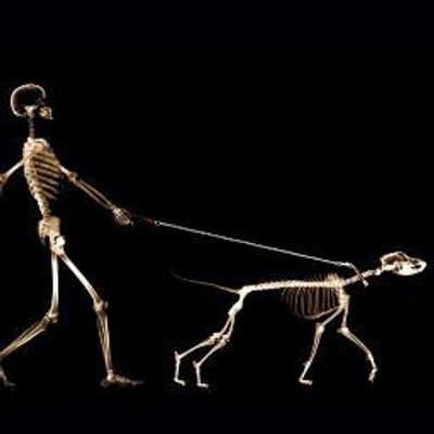 John Thorne - Twitter Profile Picture of John Thorne (@johnthorne9) on Twitter