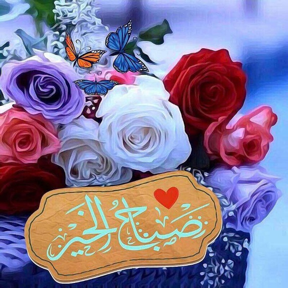 Profile Picture of Saima Hussain (@hsaima) on Poshmark