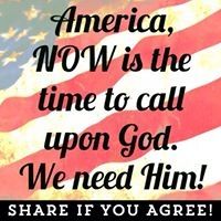 Profile Picture of Robert Blaydes (@robertblaydes) on Pinterest