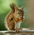 Profile Picture of Kirby Wever (@kirby.wever) on Facebook