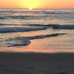 Profile Picture of Brian Marcus (@brinnimarcus) on Instagram