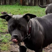 Profile Picture of Alice Moore (@AliceMoore-uq2xr) on Youtube