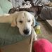 Profile Picture of Steve Contos (@steve.contos.54) on Facebook