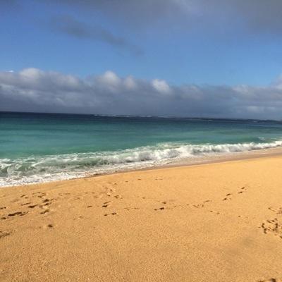 Profile Picture of Jason Horstman (@jashorstman) on Twitter