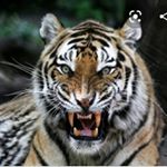 Profile Picture of Jose Cardoza (@josecardoza782) on Instagram