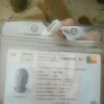 Profile Picture of Bavon Paul (@Bavon-Paul) on Facebook