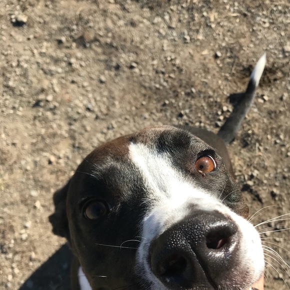 Jen Magarinos - Poshmark Profile Picture of Jen Magarinos (@jmags314) on Poshmark