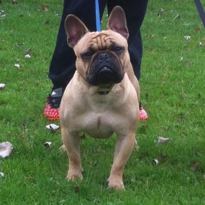 Profile Picture of Oliver Davey (@odavey86) on Twitter