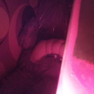 Profile Picture of Daniel Scheer (@DMSgetsome) on Twitter