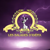 Profile Picture of Les Balades D Idéfix (@idefix2264) on Youtube