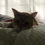 Profile Picture of Cinnamon James Trickel (@cinnamontrickel) on Instagram