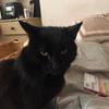 Profile Picture of Kerry Crane943 (@user7938298428018) on Tiktok