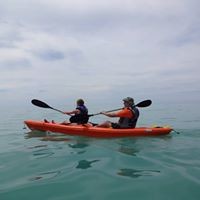 Profile Picture of Anne Fitzpatrick (@anne-fitzpatrick-16) on Quora