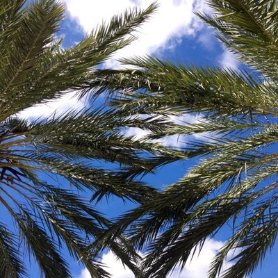 Profile Picture of Ellaine Herschede (@edoubleLhershey) on Twitter