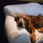 Profile Picture of Daniele Blotta (@fc_dani) on Instagram