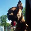 Profile Picture of Daniel Wagers (@@thunder_wolf05) on Tiktok