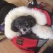 Profile Picture of Derek McL (@derekmclellan1965) on Pinterest
