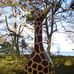 Profile Picture of Patrick Gans (@Patrick-Gans) on Facebook