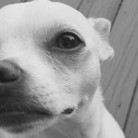 Profile Picture of Haley Wilder (@haley-wilder-6) on Quora