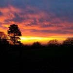 Profile Picture of Mark Fearon (@picturesonthemove) on Instagram