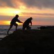 Profile Picture of Dave Alexander (@dirtstonesod) on Pinterest