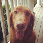 Profile Picture of Brad Heitman (@breaking_bradford) on Instagram