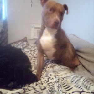 Profile Picture of Michael Romero (RosecranzMike) (@michael.romero.ro) on Tiktok