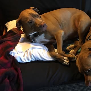 Profile Picture of Caleb jez (@calebjez) on Instagram