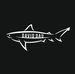 Profile Picture of David Dau (@david.dau.96) on Facebook