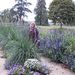 Profile Picture of Ewa Pytel (@epytel2670) on Pinterest