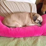 Profile Picture of Lisa Promutico Palmieri (@lisa.a.palmieri) on Instagram