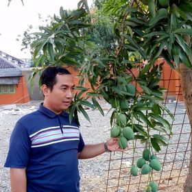 Profile Picture of Muhammad Amiruddin (@amirkan181186) on Pinterest