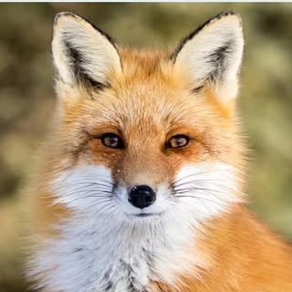 Profile Picture of Jeremy Weed (@jeremy_weed) on Instagram