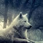 Profile Picture of Chloee Mcclellan (@Chloee-Mcclellan) on Facebook