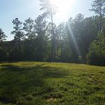 Profile Picture of Jeremy Henley (@rhombusfarms) on Instagram