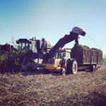 Profile Picture of Patrick Muscat (@patrick.muscat.56) on Instagram