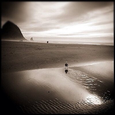 Profile Picture of Emmett Pat (@EmmettPat689) on Twitter