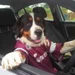 Profile Picture of Damien Stewart (@galwaydamien) on Instagram