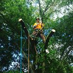 Profile Picture of Jonathan Muszynski (@treemoose1) on Instagram