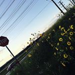 Profile Picture of Bonnie 💖💋👠 (@_.bonniecoyle._) on Instagram