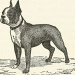 Profile Picture of patrick (@patrickpalumbo83) on Instagram