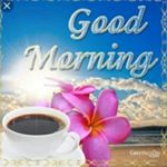 Profile Picture of stella joshua (@joshuastella610) on Instagram