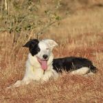 Profile Picture of Mike Etienne (@menvoodoo) on Instagram