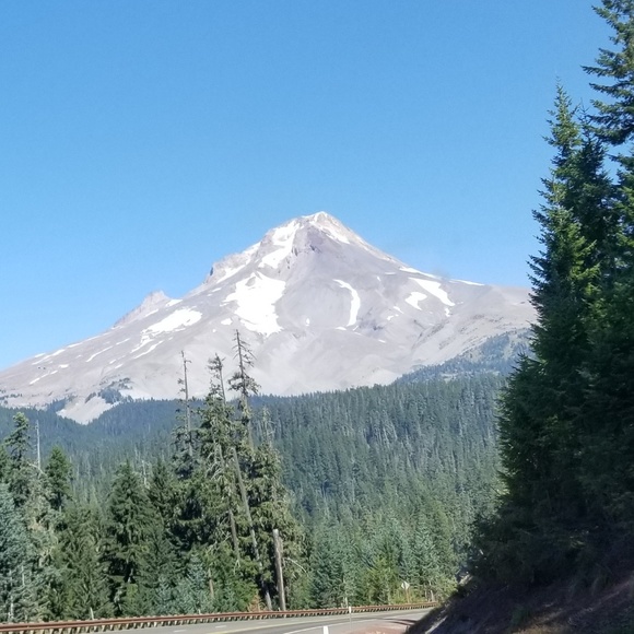 Noelle Samic - Poshmark Profile Picture of Noelle Samic (@newyorkheart93) on Poshmark