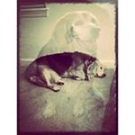 Profile Picture of Chuck Minton (@mintonchuck) on Instagram