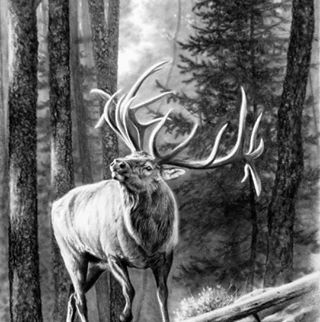 Profile Picture of James Sharrar (@james.sharrar) on Facebook