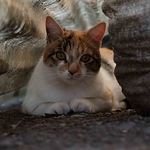 Profile Picture of Martin Rojas (@martin.maximiliano.rojaz) on Flickr