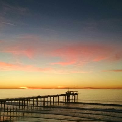 Profile Picture of Daniel Yee (@Daniel_algYee) on Twitter