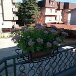 Profile Picture of Abate Giuseppina (@abateg476) on Instagram