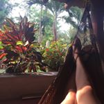 Profile Picture of Vanessa Cabrera (@walter_heartwell_white) on Instagram